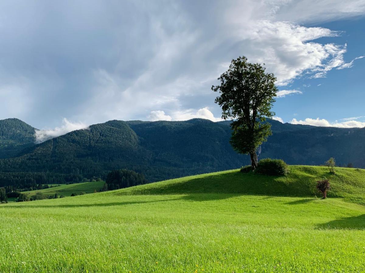 Ausseerhaus Im Gruenen Aussere Kainisch Exteriör bild